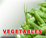 seatradegroup products,vegetables,Green Beans,Spring Onions